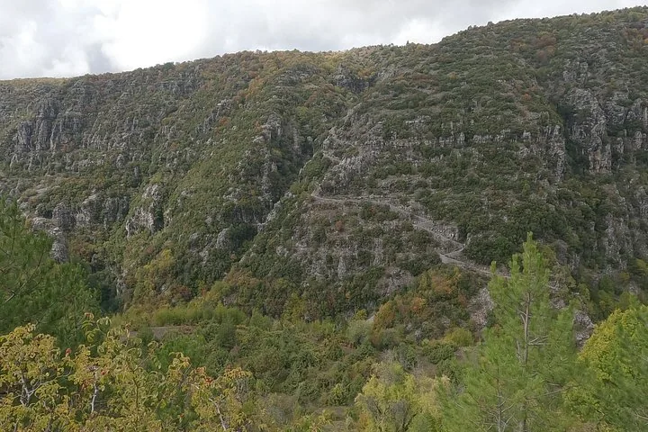 View of a rugged gorge with trees changing colors.